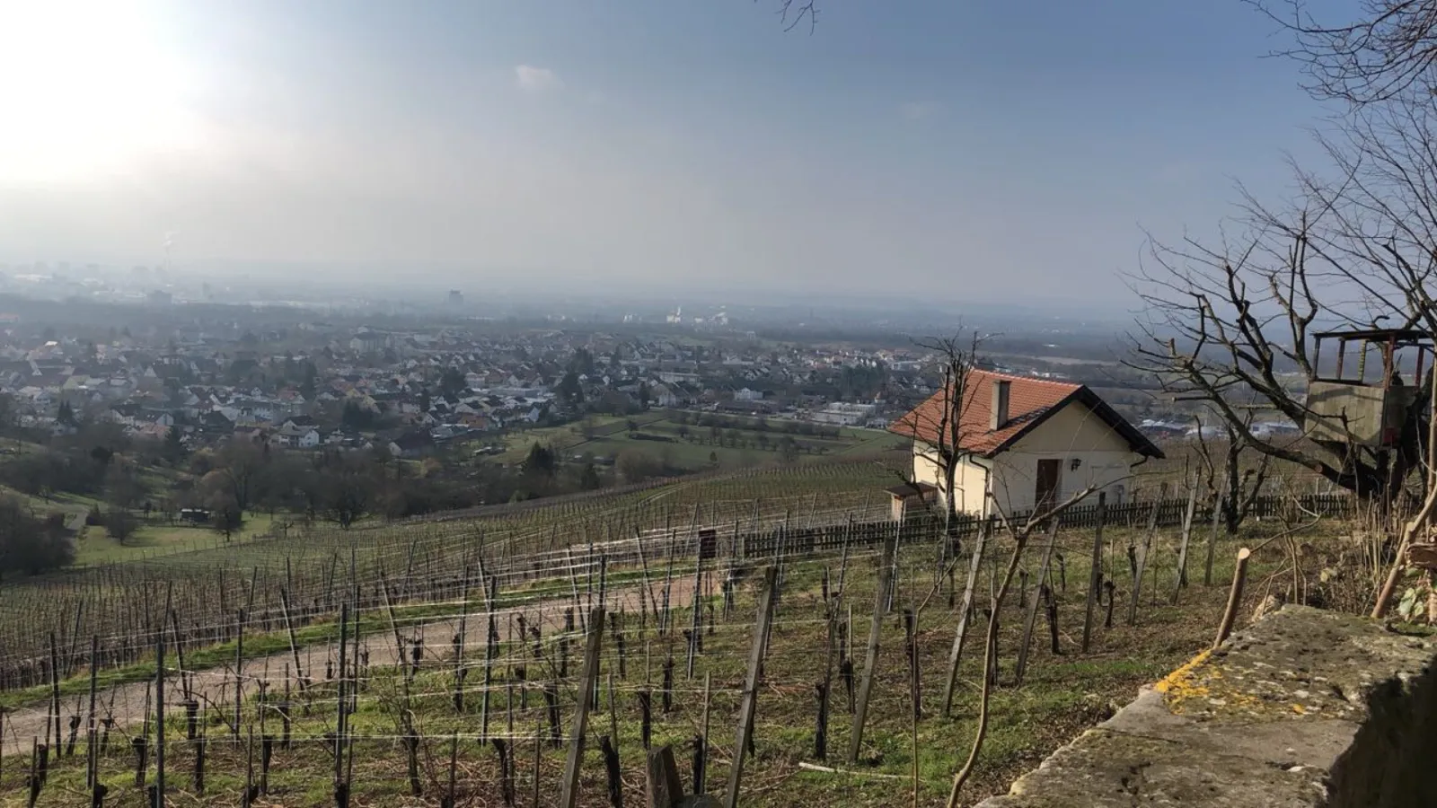 Our Vineyard Cottage View to Basel Alsace