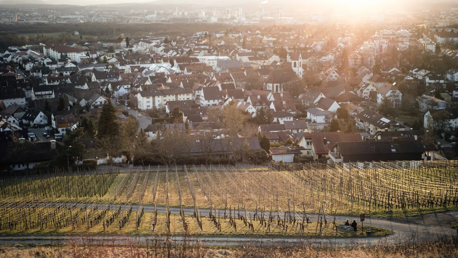 Weiler Schlipf with View to Weil Basel