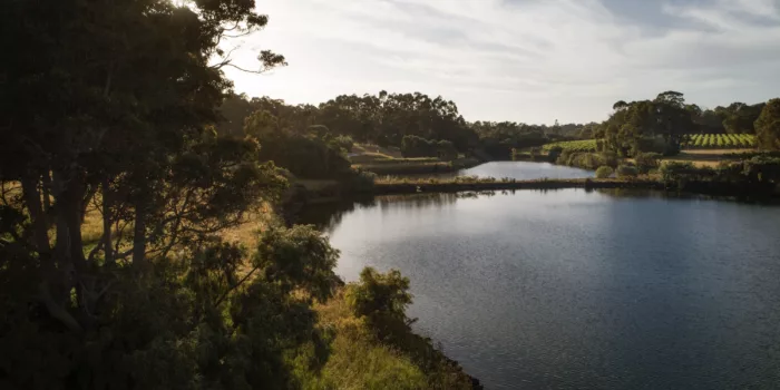 DJI 0246 Sarah Hewer