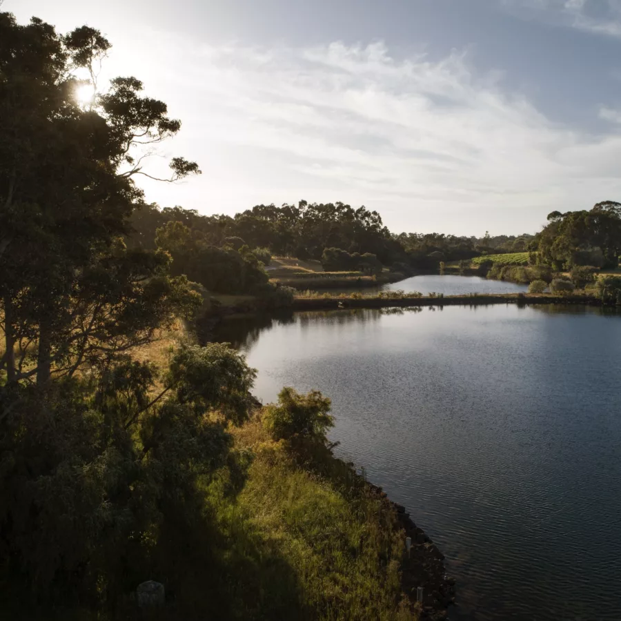 DJI 0246 Sarah Hewer