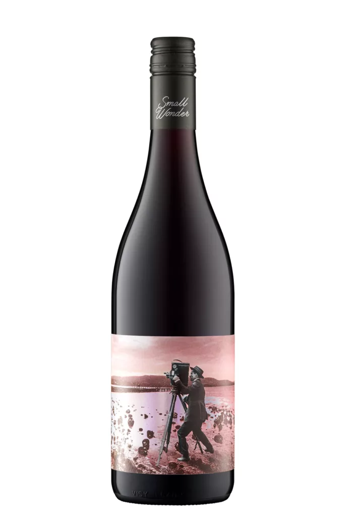 Small wonder pinot noir landscape